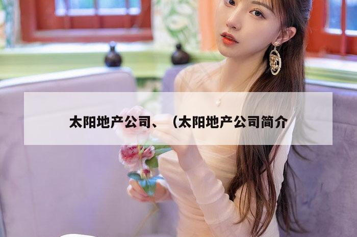 太阳地产公司、（太阳地产公司简介
