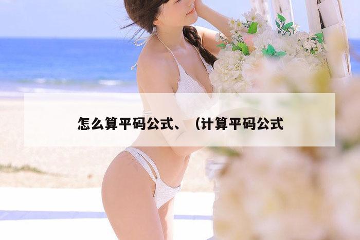 怎么算平码公式、（计算平码公式